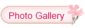 Photo Gallery